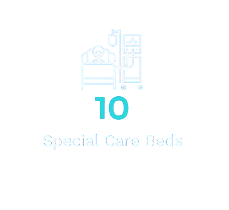 screenshot 2026 02 15 231530 removebg preview