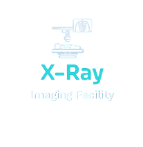 screenshot 2026 02 15 231619 removebg preview