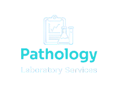 screenshot 2026 02 15 231653 removebg preview